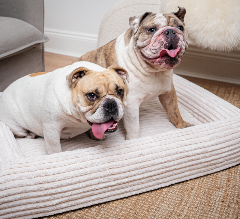 Memory Foam Mattress 1